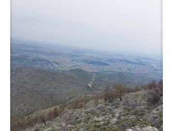 Poljoprivredno zemljište, Prodaja, Podgorica, Rogami